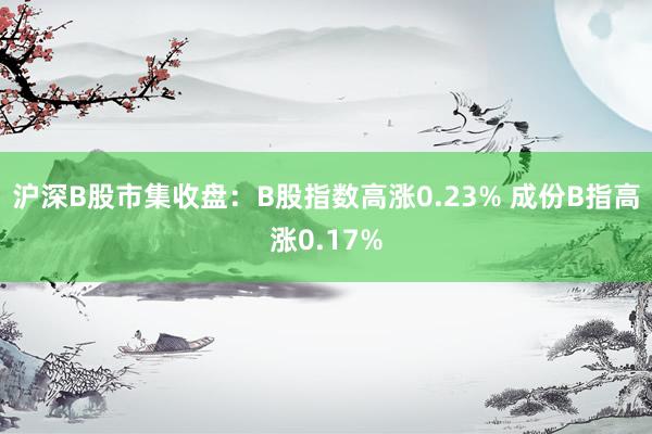 沪深B股市集收盘：B股指数高涨0.23% 成份B指高涨0.17%